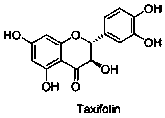 Method for separating, purifying and identifying taxifolin from ampelopsis grossedentata tissues