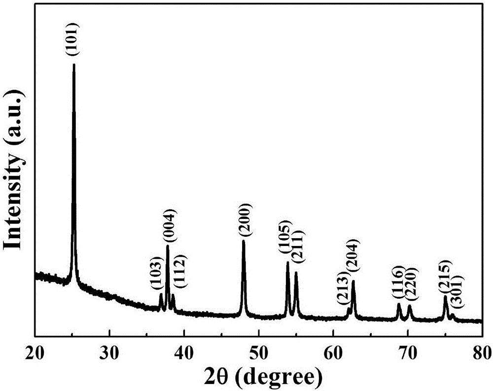 TiO2 single-crystal hollow square nanocone material and preparation method and application thereof