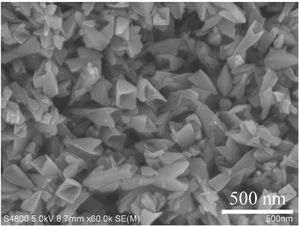 TiO2 single-crystal hollow square nanocone material and preparation method and application thereof