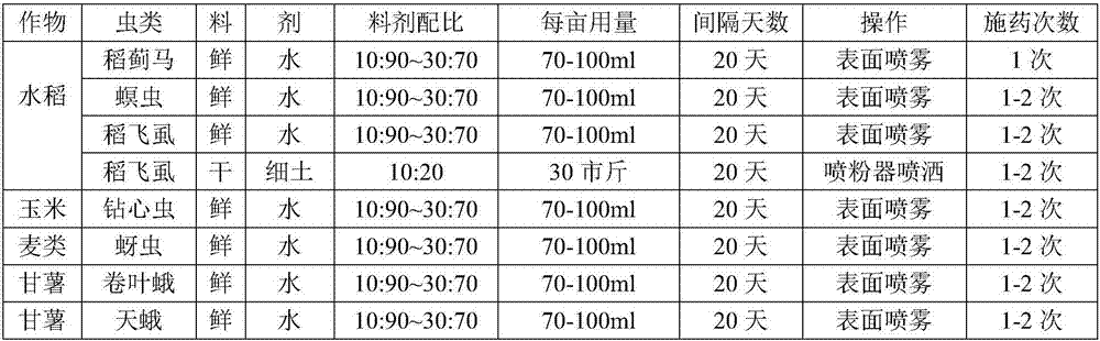 Compound plant insecticide and preparation method thereof