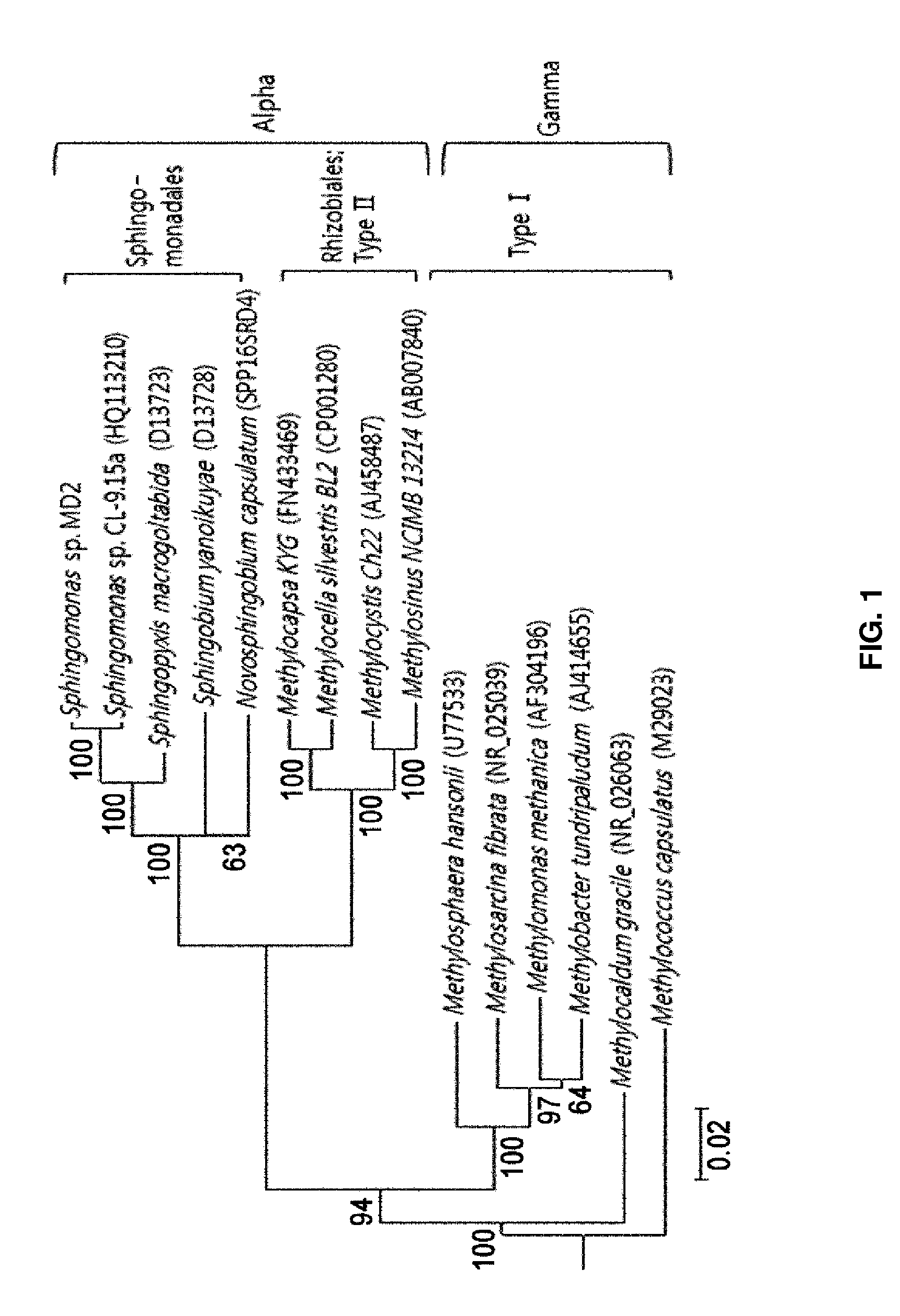 Novel Sphingomonas sp. Microorganism, and Method for Decomposing Methane or Odor-Producing Compounds Using Same