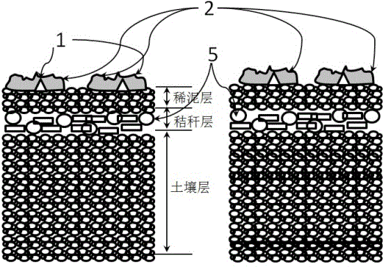 Semi-solid-state complex no-tillage dry direct seeding method for crop seeds