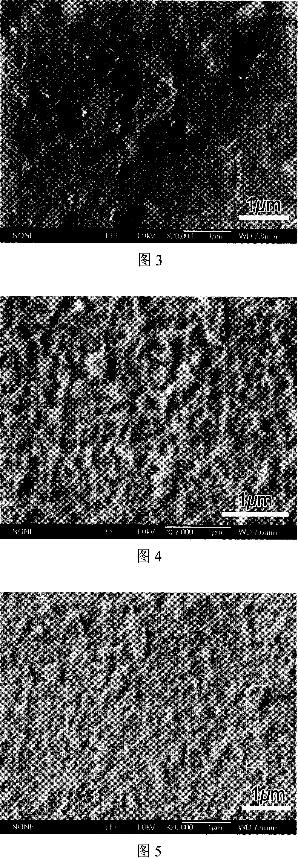 Nano-level zirconium-salt dispersion modified polyphenyl ether composite proton exchanging film material