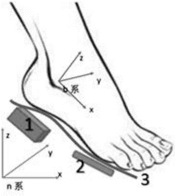 Foot posture recognition system