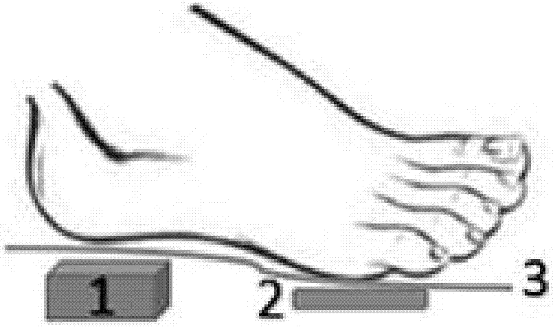 Foot posture recognition system