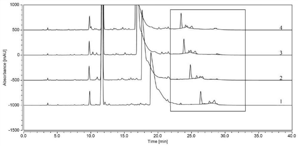 Method for detecting polymer impurities in cefadroxil raw material medicine and preparation of cefadroxil raw material medicine