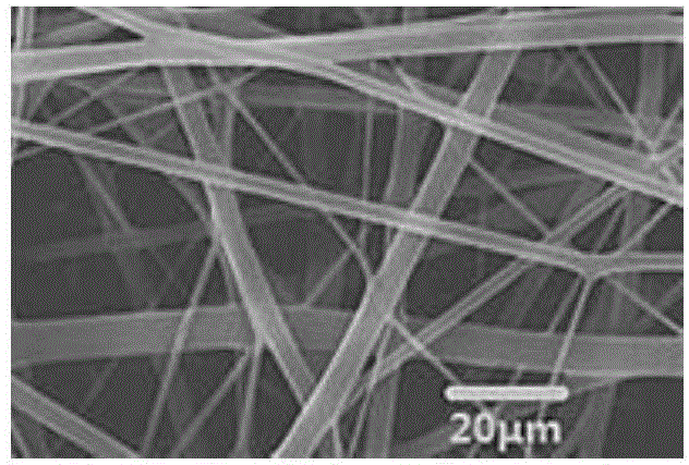 Guided tissue regeneration membrane as well as preparation method and application thereof