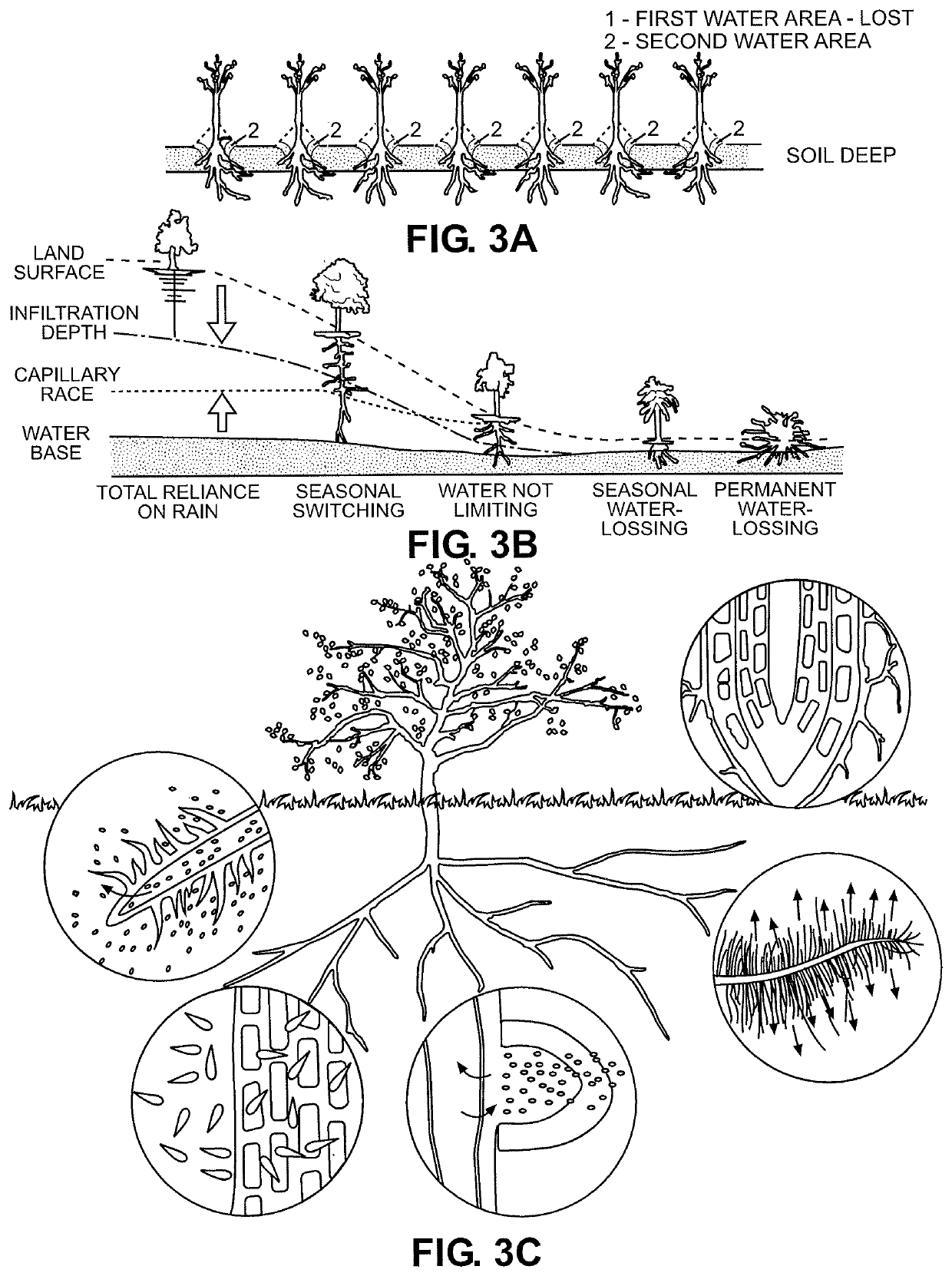 Engines structure for water molecules impulse, order and control for agricultural purposes