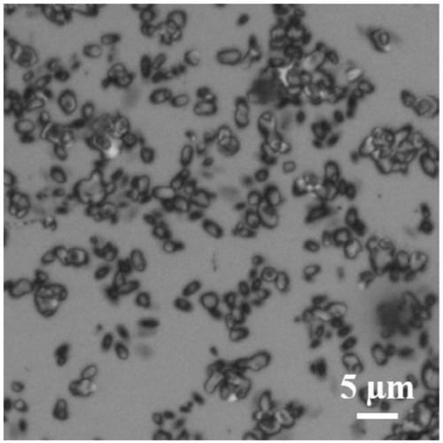 Synthesis method of guanine-based pearlescent pigment