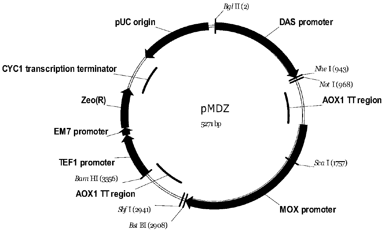 Method for preparing recombinant coxsackievirus A16 type virus-like particles