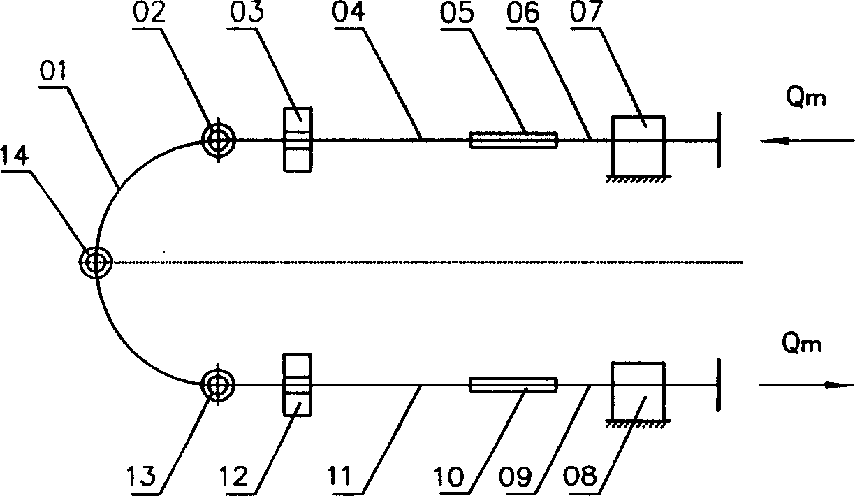 Detection equipment of Coriolis mass flow meter