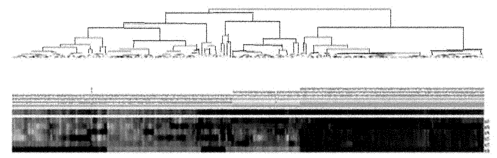 Serum/plasma miRNA composition and use thereof