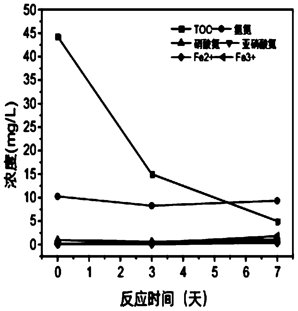 Application of beta-glucan and succinyl glycan in prevention and control of soil-borne fungal diseases