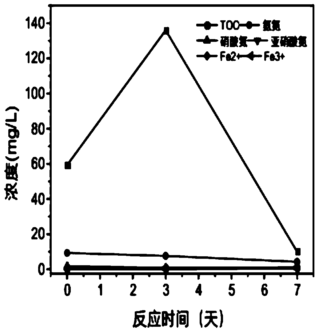 Application of beta-glucan and succinyl glycan in prevention and control of soil-borne fungal diseases