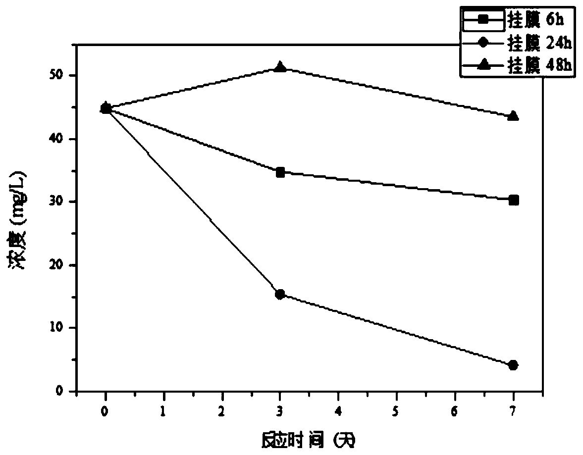 Application of beta-glucan and succinyl glycan in prevention and control of soil-borne fungal diseases