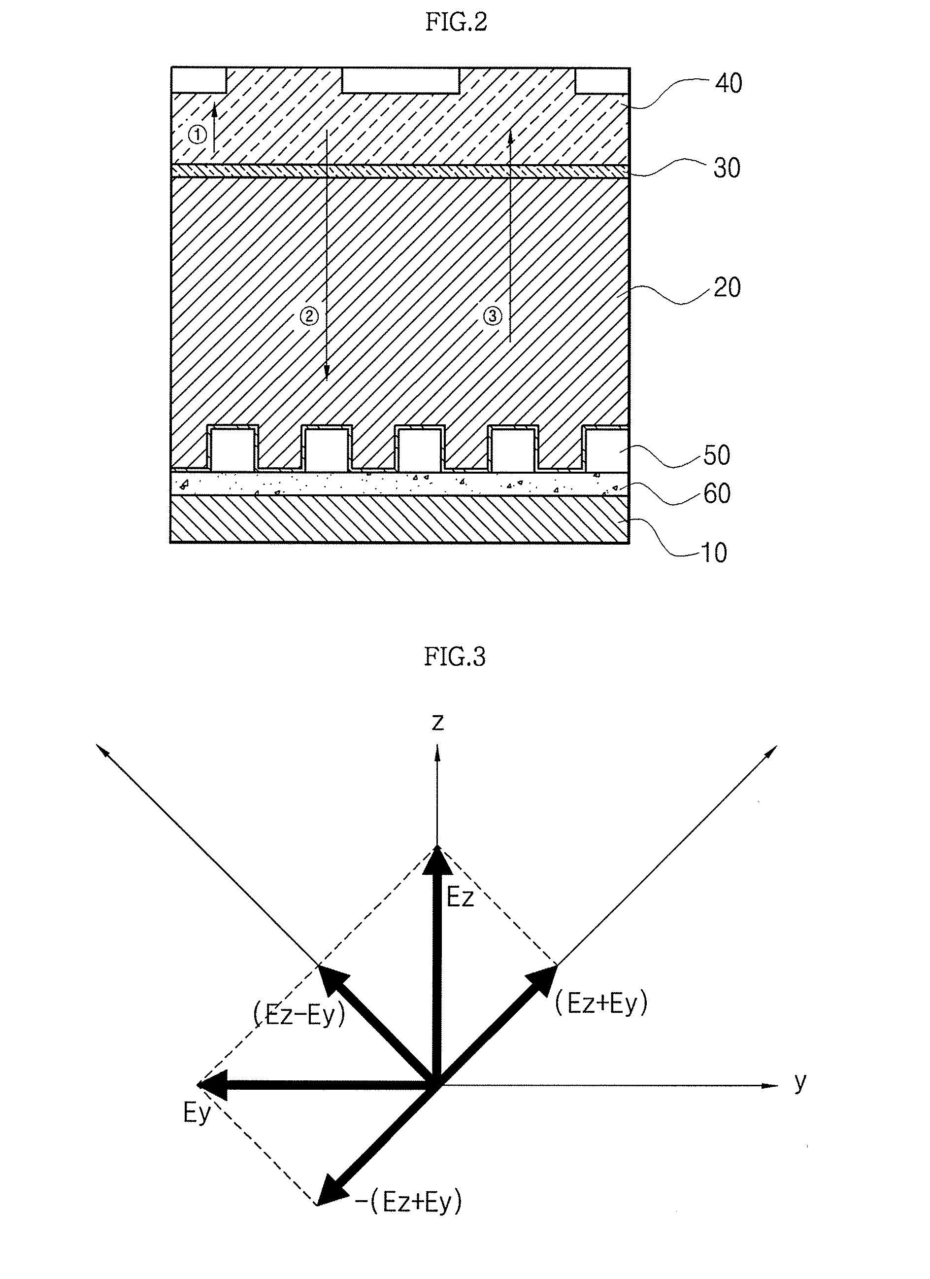 Polarized light emitting diode