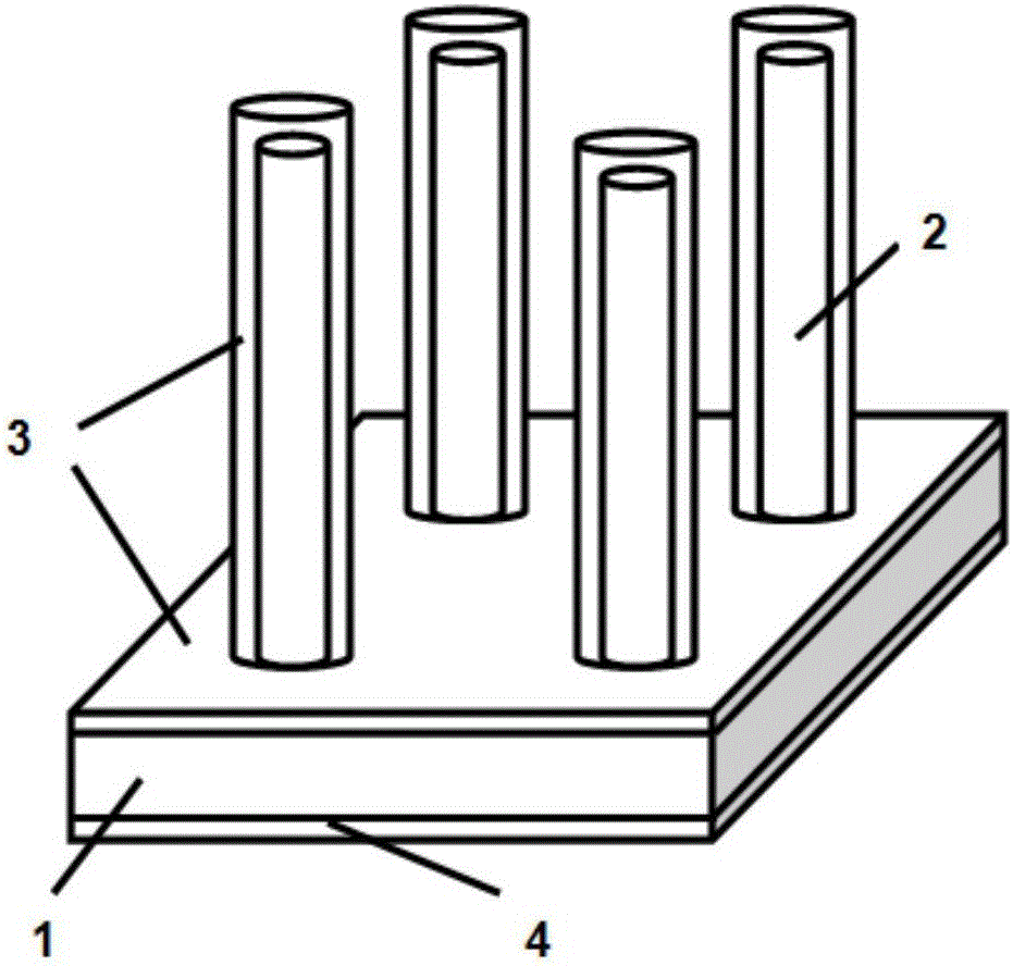 Self-driven Schottky junction near-infrared photoelectric detector based on silicone nanowire array and preparation method of photoelectric detector