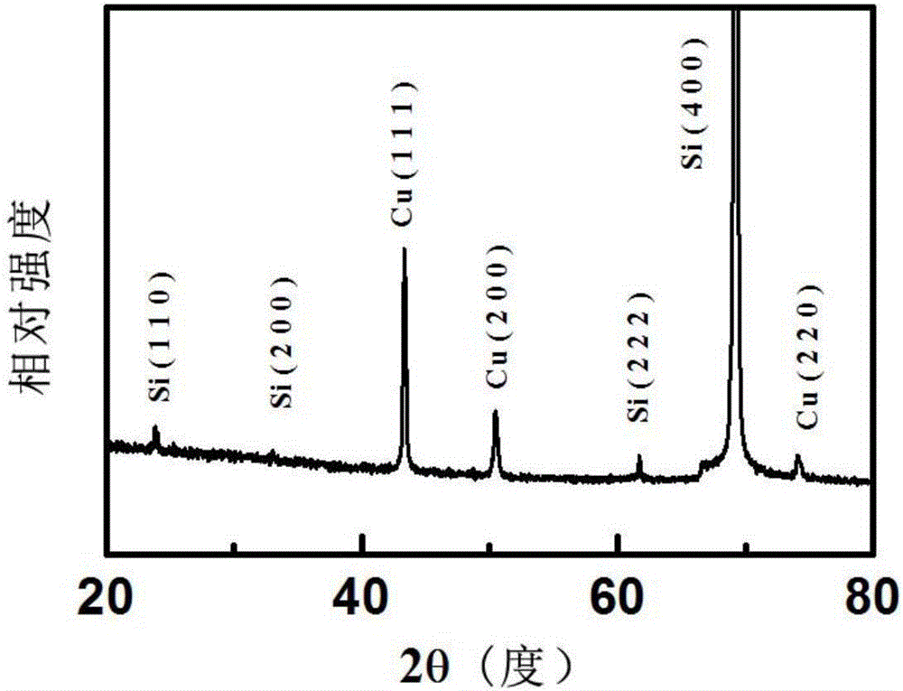 Self-driven Schottky junction near-infrared photoelectric detector based on silicone nanowire array and preparation method of photoelectric detector