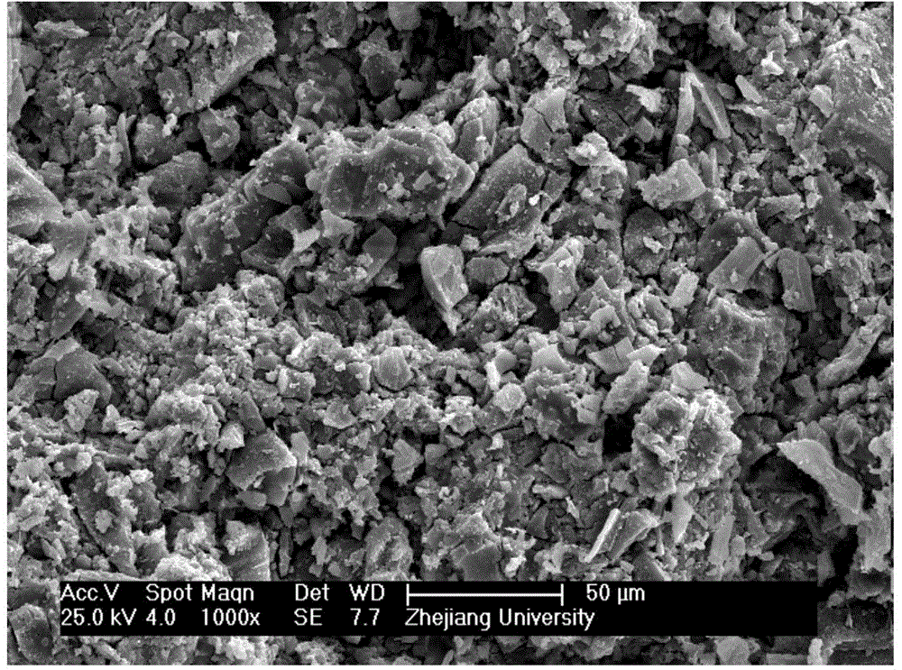 Biomass carbonization molding material and preparation method thereof