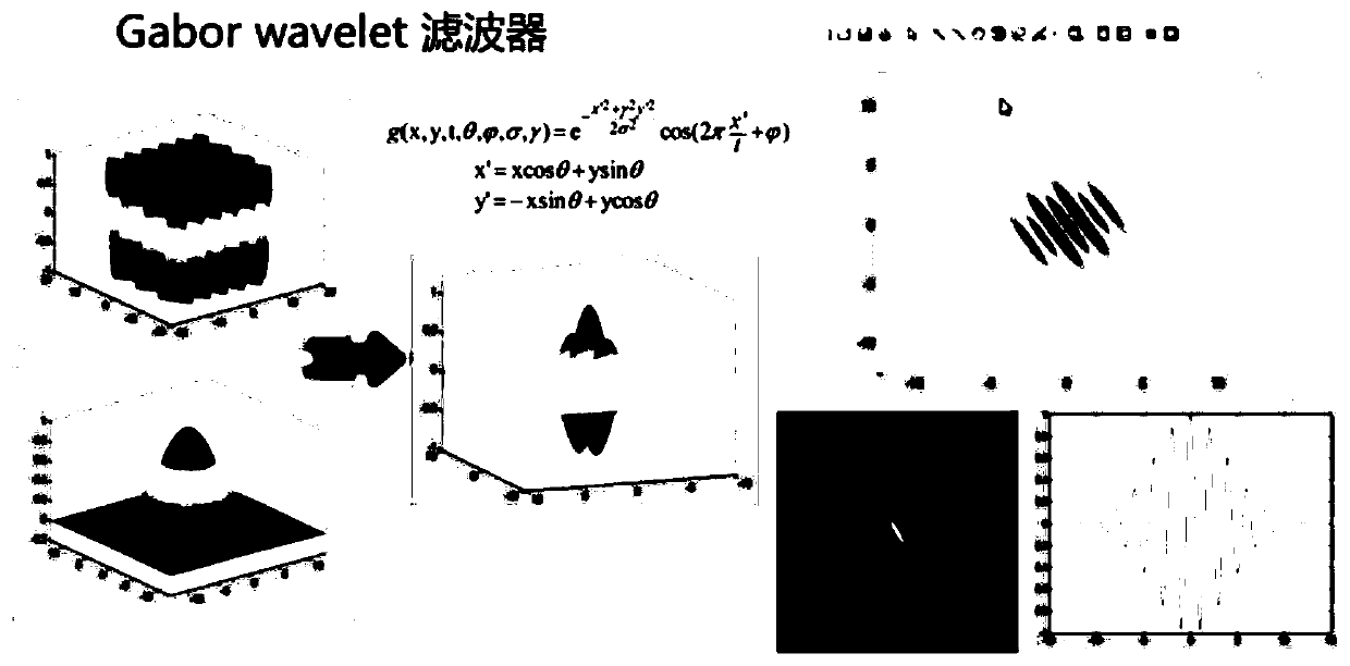 Image feature extraction system and method based on Talbot effect optical convolution