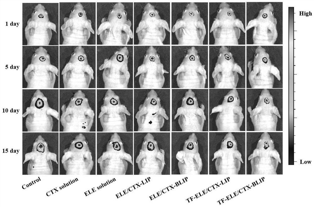 Elemene and cabazitaxel double-targeted biomimetic liposome as well as preparation method and application thereof