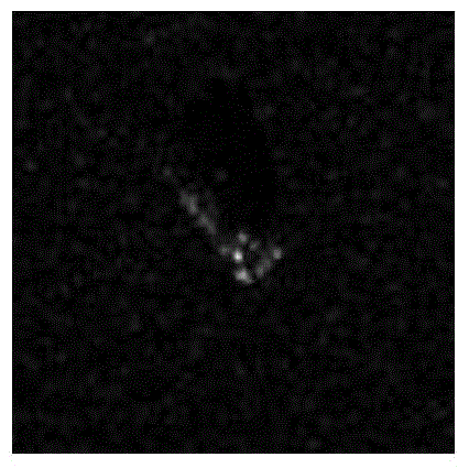 Rapid target extraction method used for SAR azimuth estimation