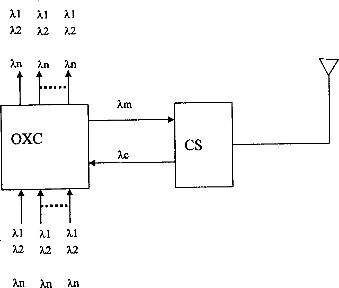 Light-carried wireless ROF system and its realizing method