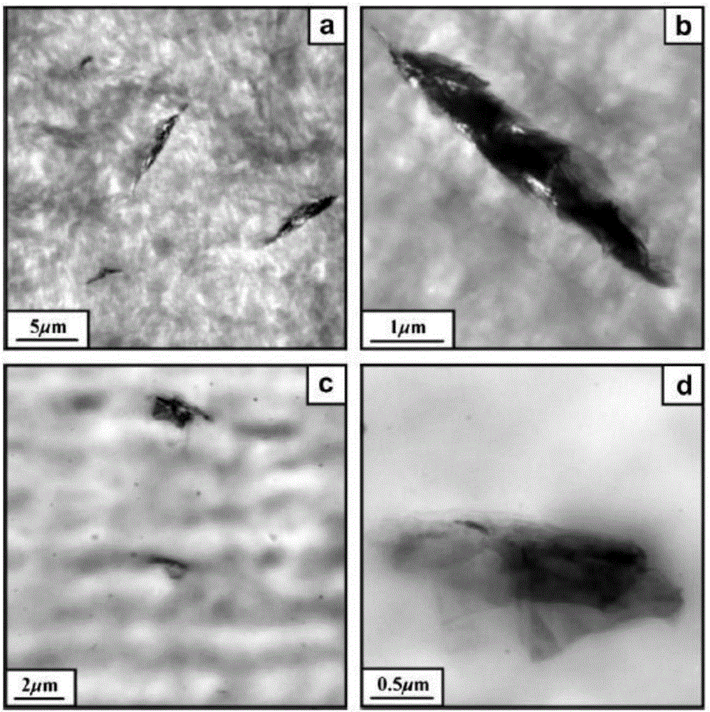 Polymer/carbon nano composite material and preparation method thereof