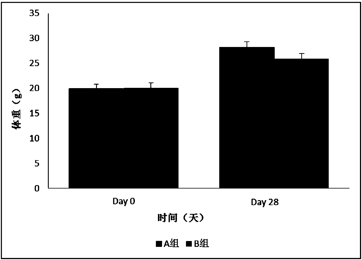 Establishment method for type 2 diabetes mellitus animal model