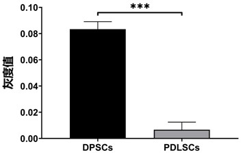 Application of HS90A as marker for identifying dental pulp stem cells and periodontal ligament stem cells, and kit and method for identifying dental pulp stem cells and periodontal ligament stem cells