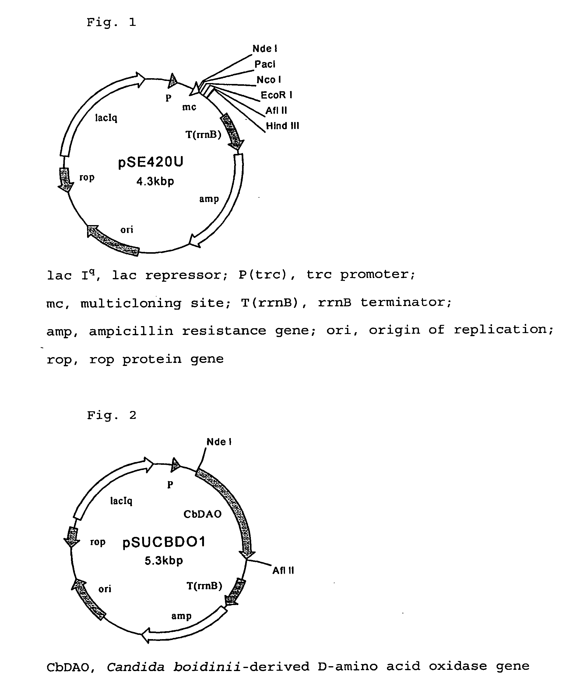 Method for producing l-amino acids