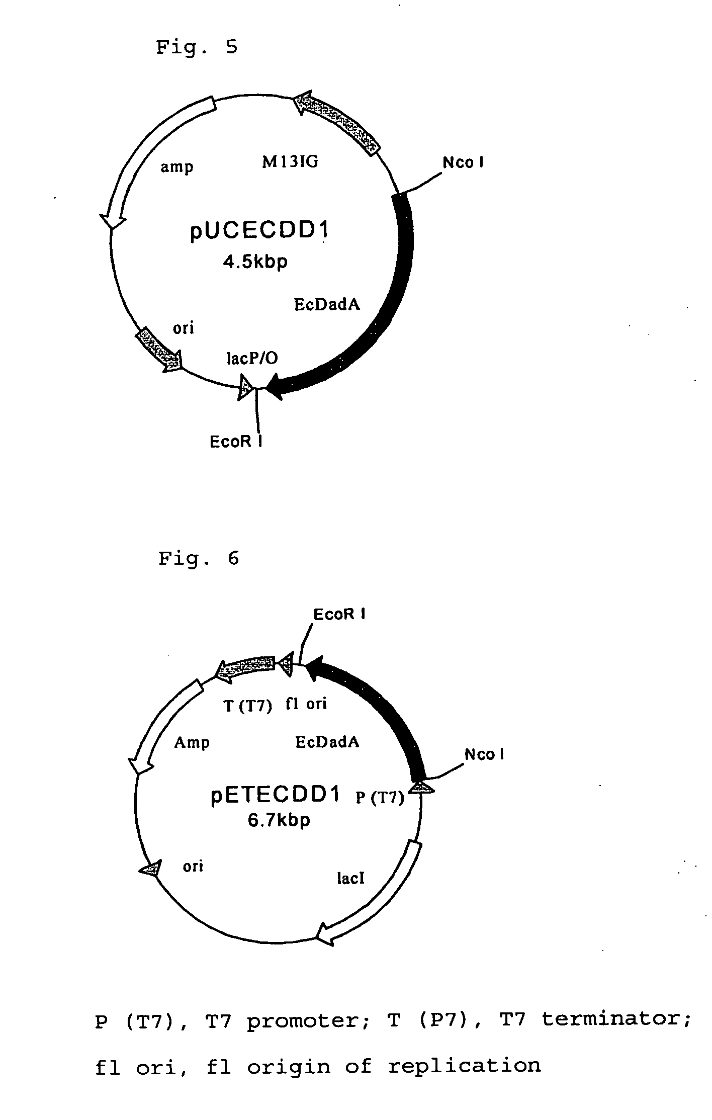 Method for producing l-amino acids