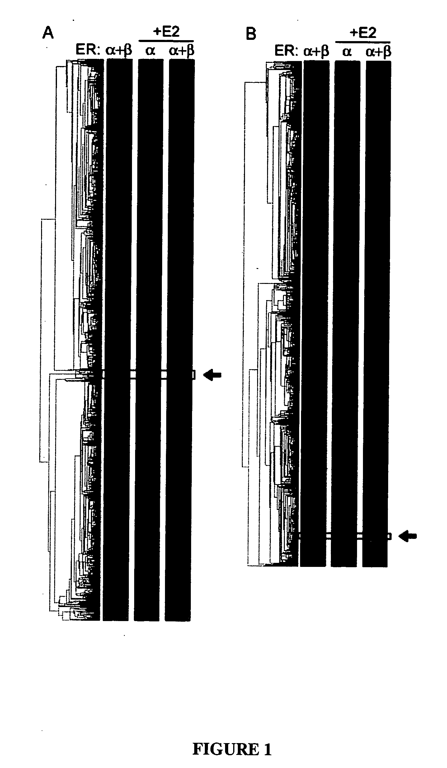 Methods, compositions and kits for use in prognosis, characterization and treatment of cancer