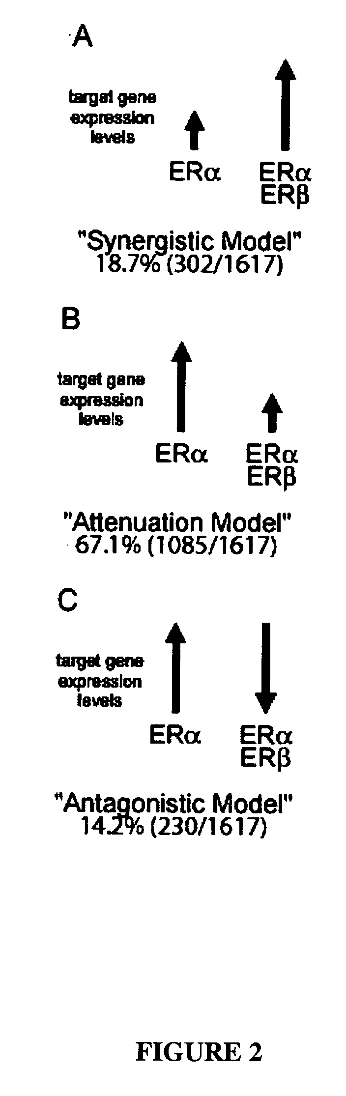 Methods, compositions and kits for use in prognosis, characterization and treatment of cancer