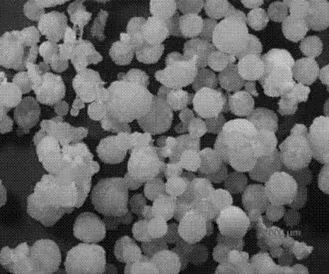 Spherical polybutylene-1 with high isotacticity and preparation method thereof