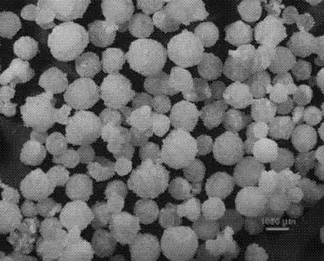 Spherical polybutylene-1 with high isotacticity and preparation method thereof