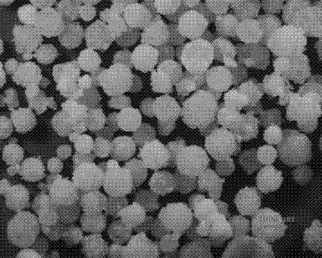 Spherical polybutylene-1 with high isotacticity and preparation method thereof