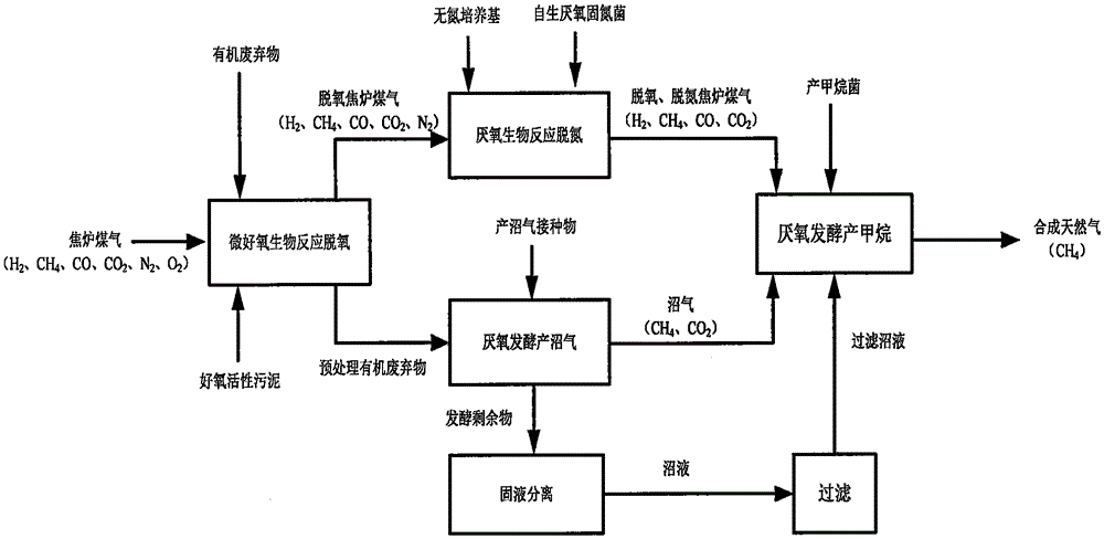 Method for biologically synthesizing natural gas from coke oven gas