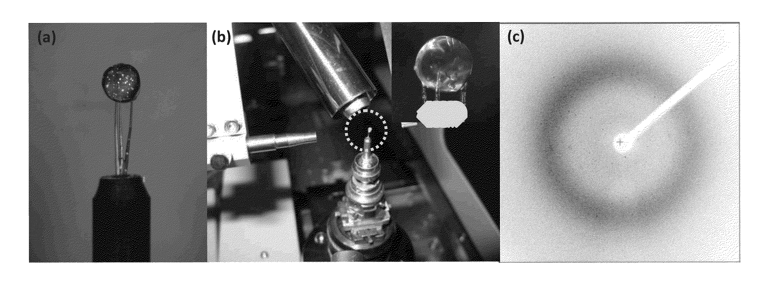 Method for forming protein crystal