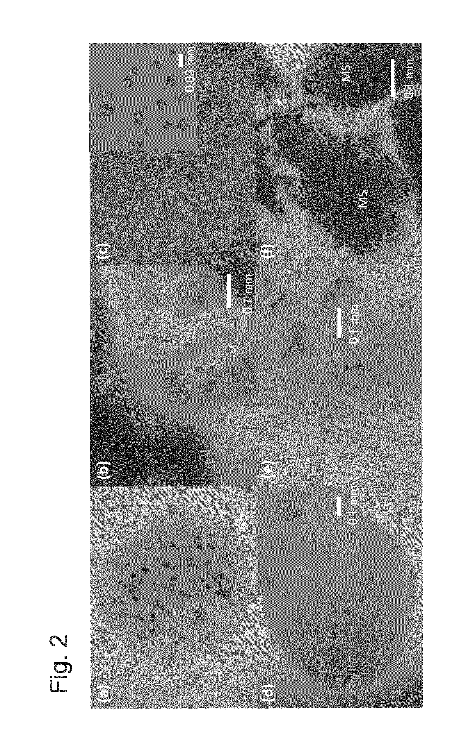 Method for forming protein crystal