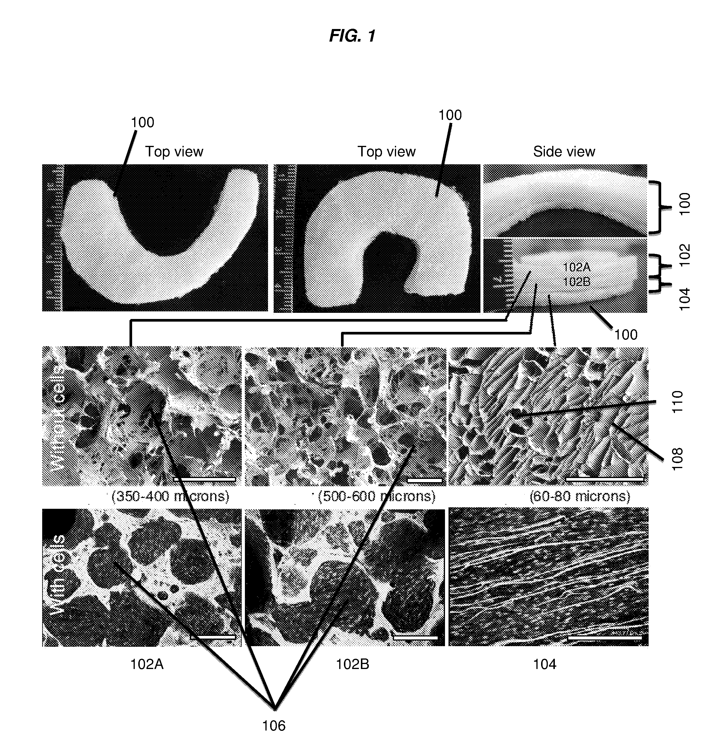 Multilayered silk scaffolds for meniscus tissue engineering