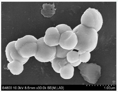 Preparation method of AgX@Ag core-shell electrode material