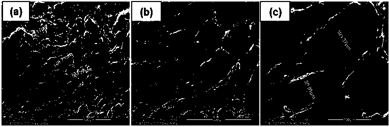 Bone repairing biological material prepared by using abalone shell, and preparation method thereof