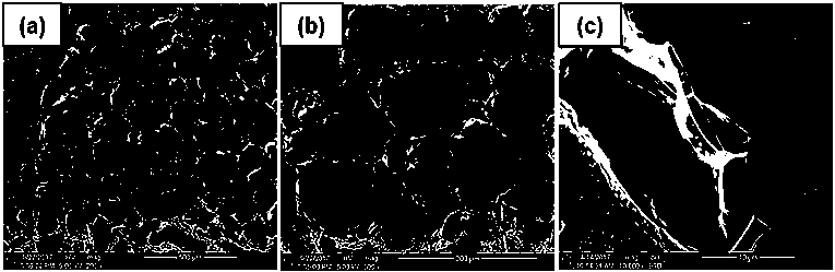 Bone repairing biological material prepared by using abalone shell, and preparation method thereof