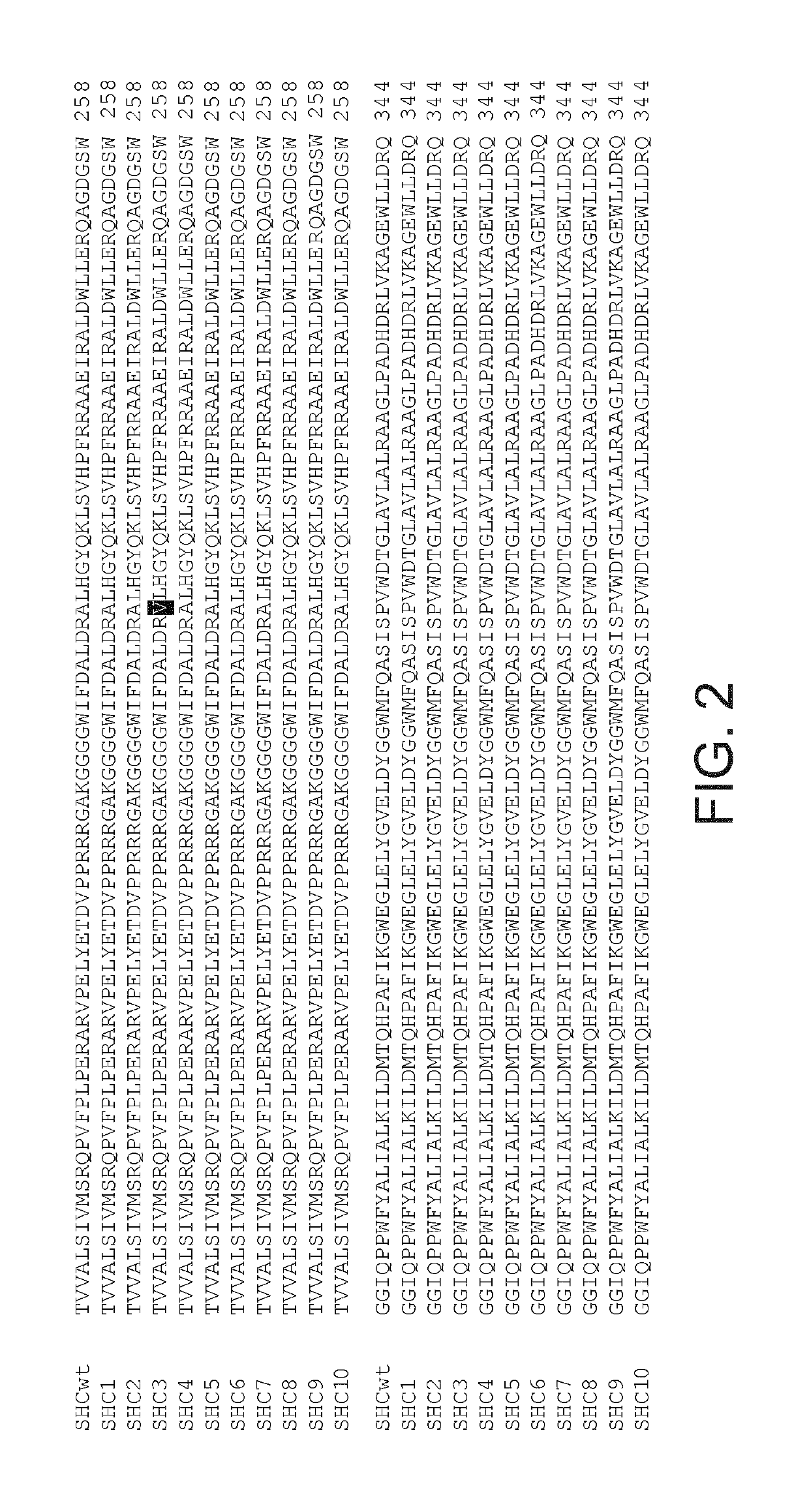 Enzymes and applications thereof