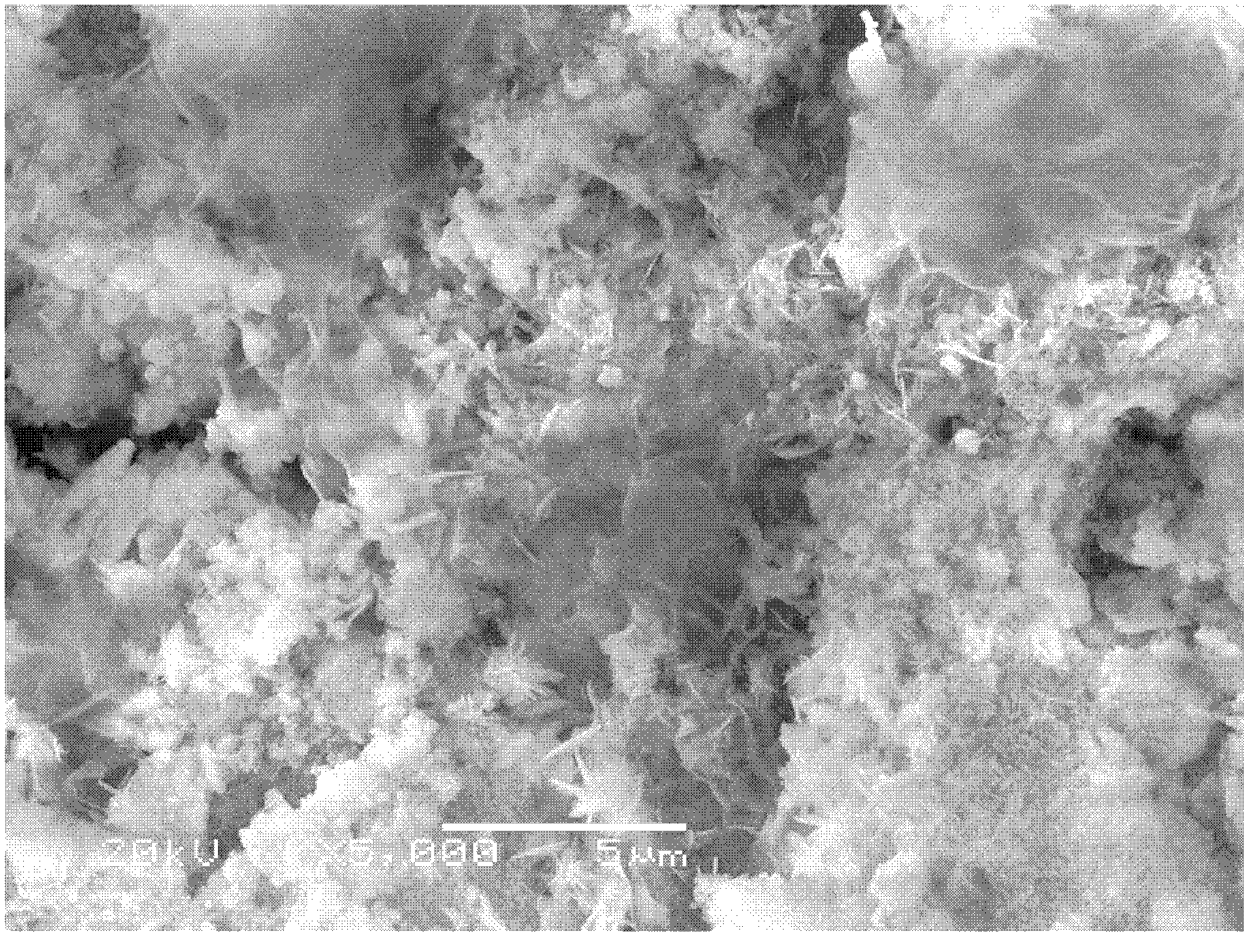 Method for preparing super-hydrophobic green film on magnesium alloy substrate