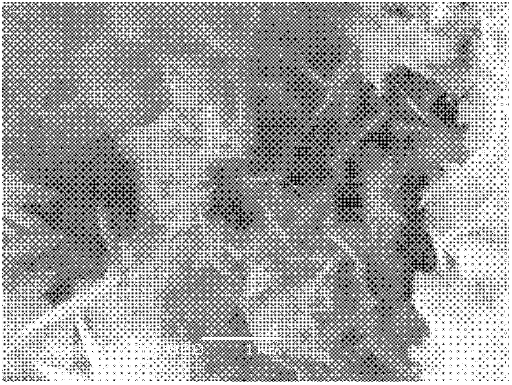 Method for preparing super-hydrophobic green film on magnesium alloy substrate