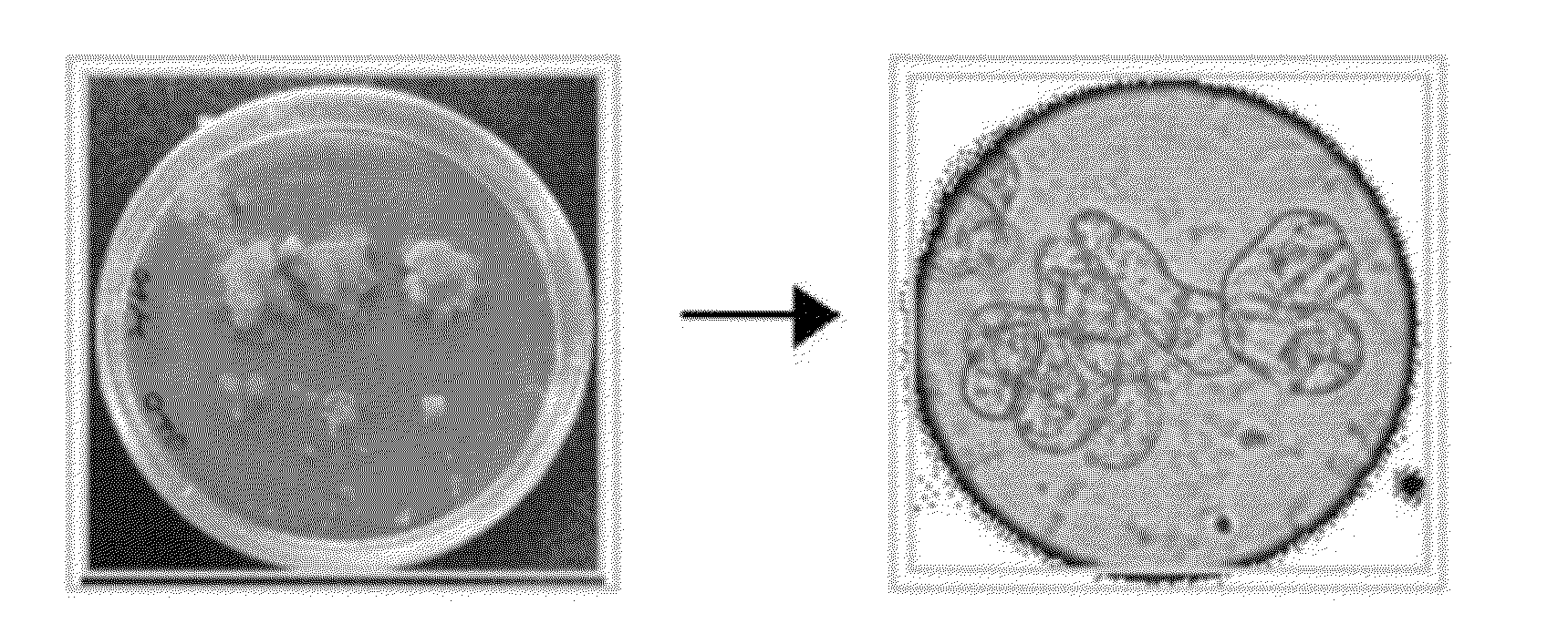 Method of Manufacturing Reference Material Using Plant Cultured Cell Lines