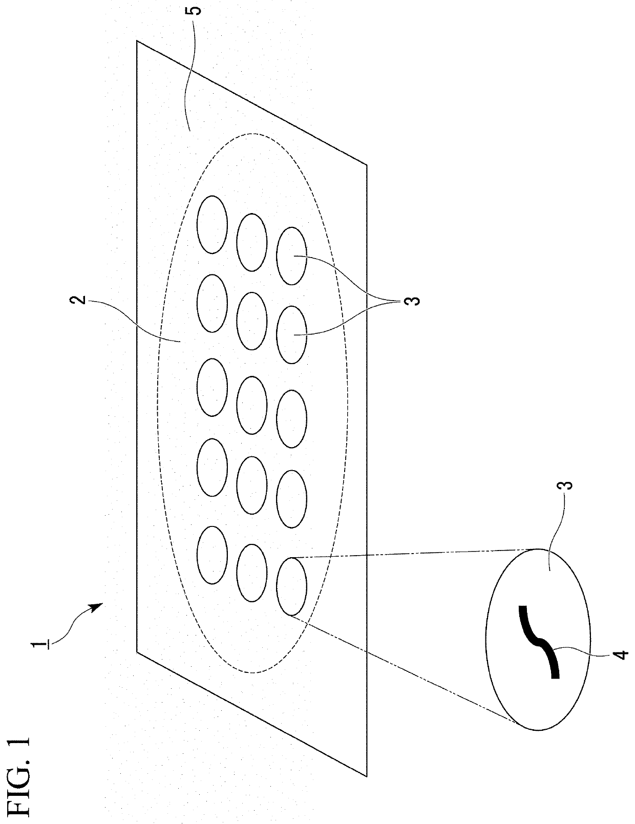 Carrier and testing method