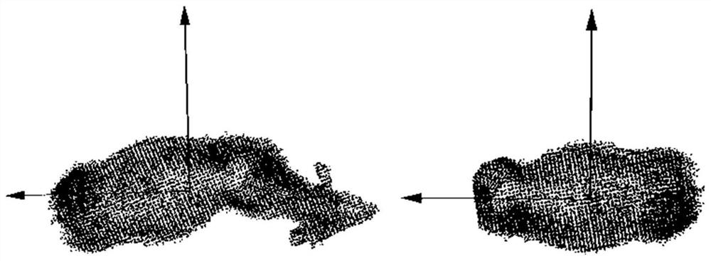 Livestock point cloud bidirectional fault region segmentation method and device